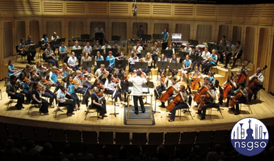 National Scout & Guide Symphony Orchestra all set for summer performances